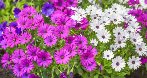 Similar image 21282796