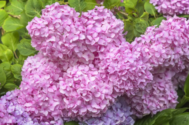 Similar image 21282797