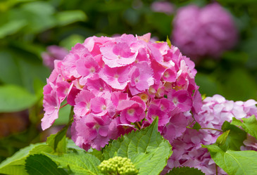 Similar image 21282798