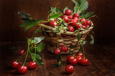 Similar image 21287842