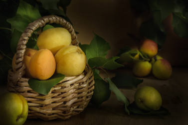 Similar image 21287844