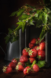 Similar image 21287847