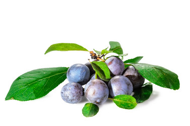 Similar image 21285453