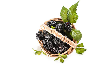 Similar image 21285455