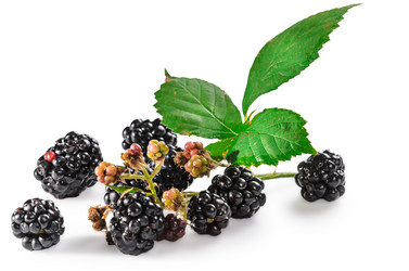 Similar image 21285456