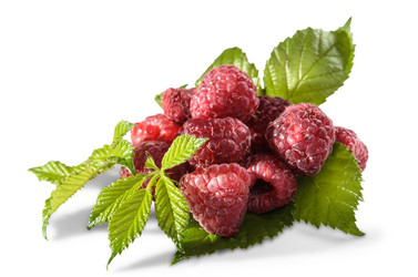 Similar image 21285458