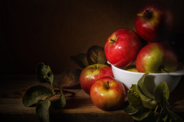 Similar image 21287855