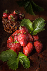 Similar image 21287856