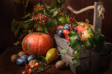 Similar image 21287861