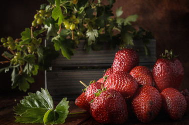 Similar image 21282498