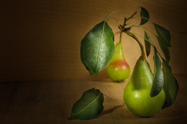 Similar image 21282503