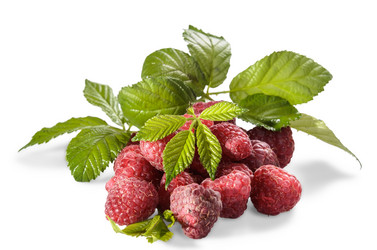 Similar image 21285471