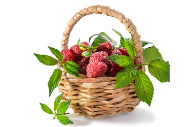 Similar image 21285472