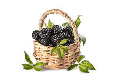 Similar image 21273430