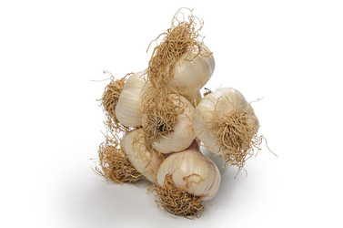 Similar image 21273432