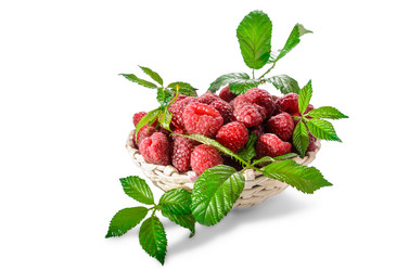 Similar image 21273434