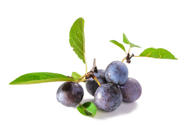 Similar image 21273435