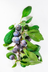 Similar image 21273436