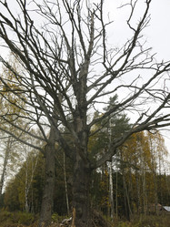 Similar image 21264673