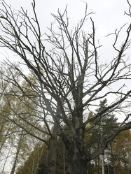 Similar image 21264674