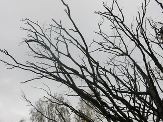 Similar image 21264675