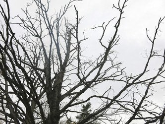 Similar image 21264676