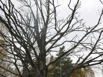 Similar image 21264677