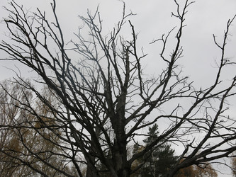 Similar image 21264678