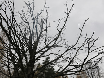 Similar image 21264680