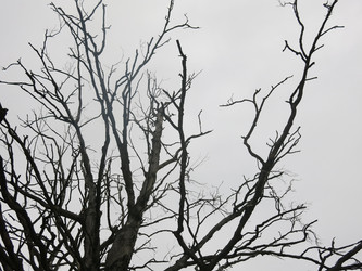 Similar image 21264681