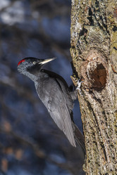 Similar image 21259119