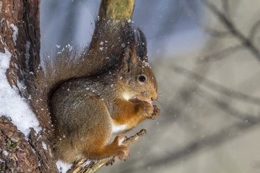 Similar image 21259120