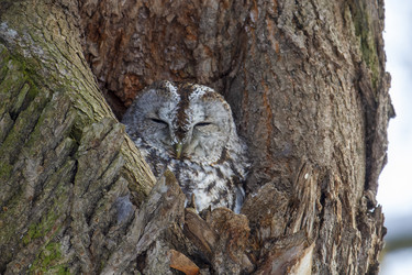 Similar image 21259121