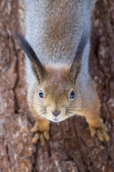 Similar image 21259545