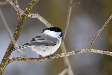 Similar image 21259547