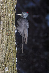 Similar image 21259550