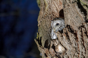 Similar image 21259551