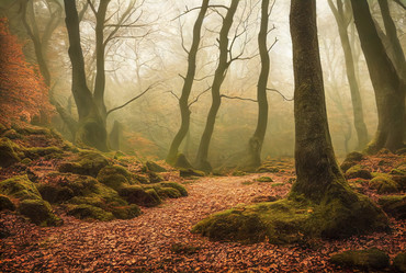 Similar image 21259555