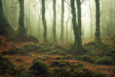 Similar image 21259558