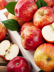 Similar image 21259561