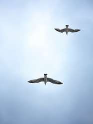 Similar image 21262412