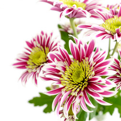 Similar image 21262414