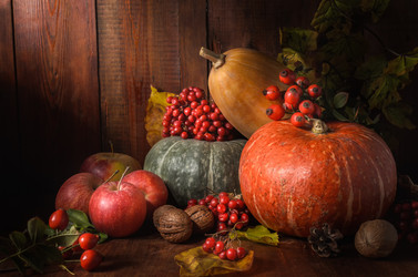 Similar image 21277503