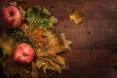 Similar image 21277510