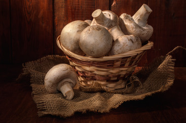 Similar image 21277516