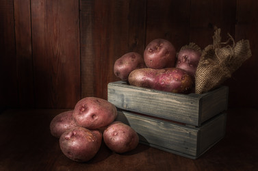 Similar image 21277518