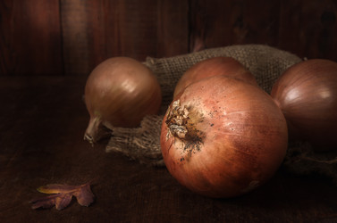 Similar image 21277521