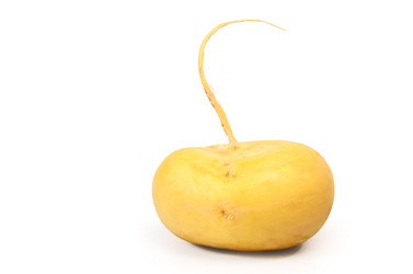 Similar image 21273440