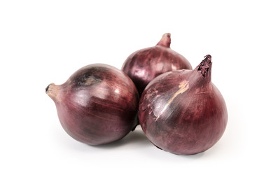 Similar image 21273442