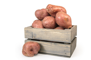 Similar image 21273444